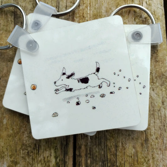 Fetch Keyring